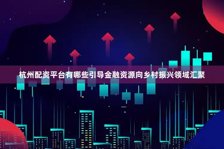 杭州配资平台有哪些引导金融资源向乡村振兴领域汇聚
